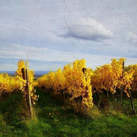 Au Petit Nid De Seebach Zewnętrze zdjęcie