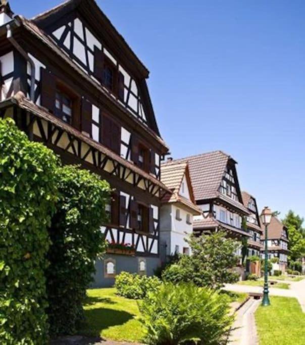 Au Petit Nid De Seebach Zewnętrze zdjęcie